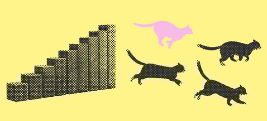 Infografiikat & animaatiot